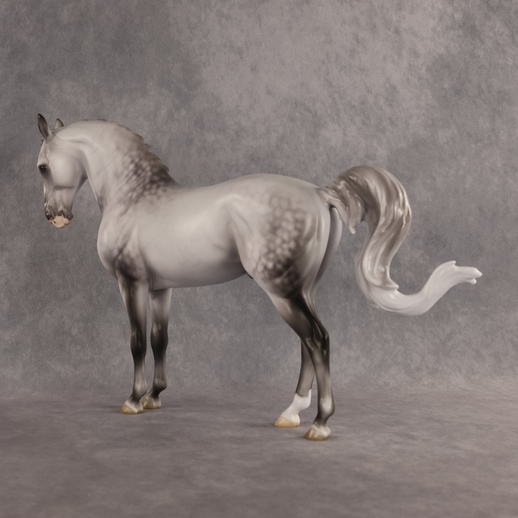 Samson OOAK FCM Andalusian by Jess Hamill Best Offer 7.28.2026