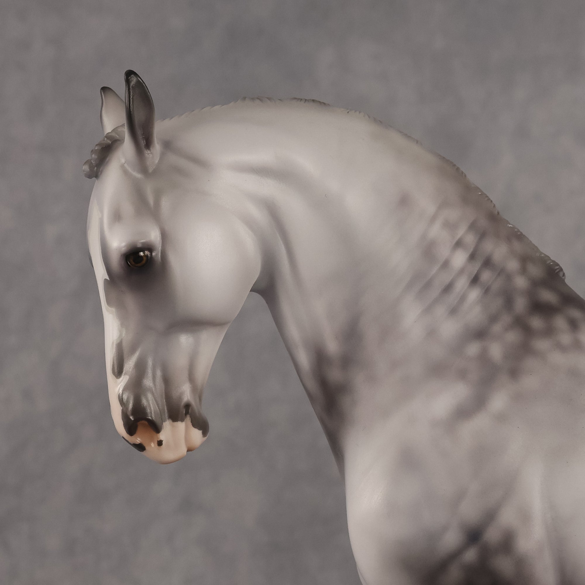 Samson OOAK FCM Andalusian by Jess Hamill Best Offer 7.28.2026