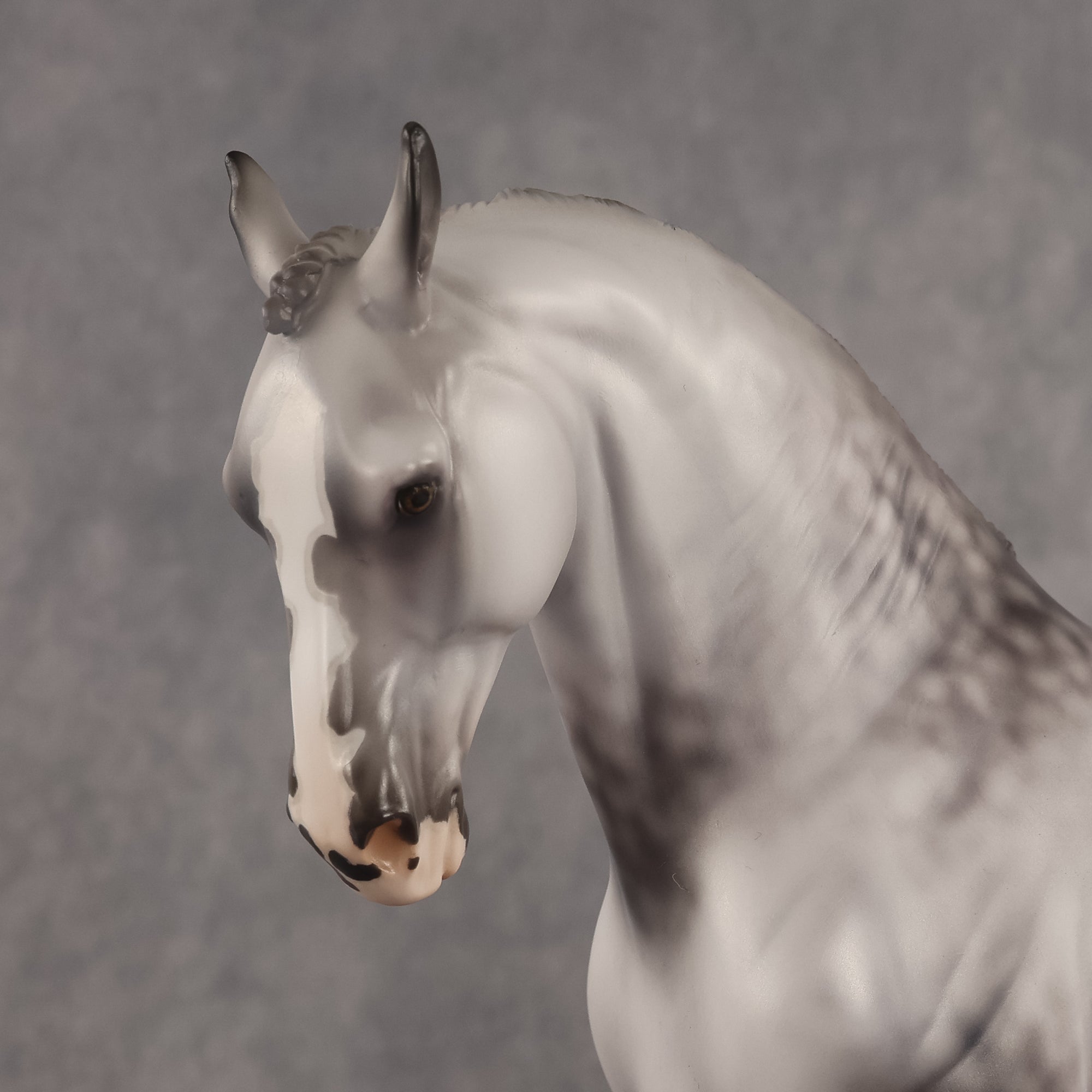 Samson OOAK FCM Andalusian by Jess Hamill Best Offer 7.28.2026