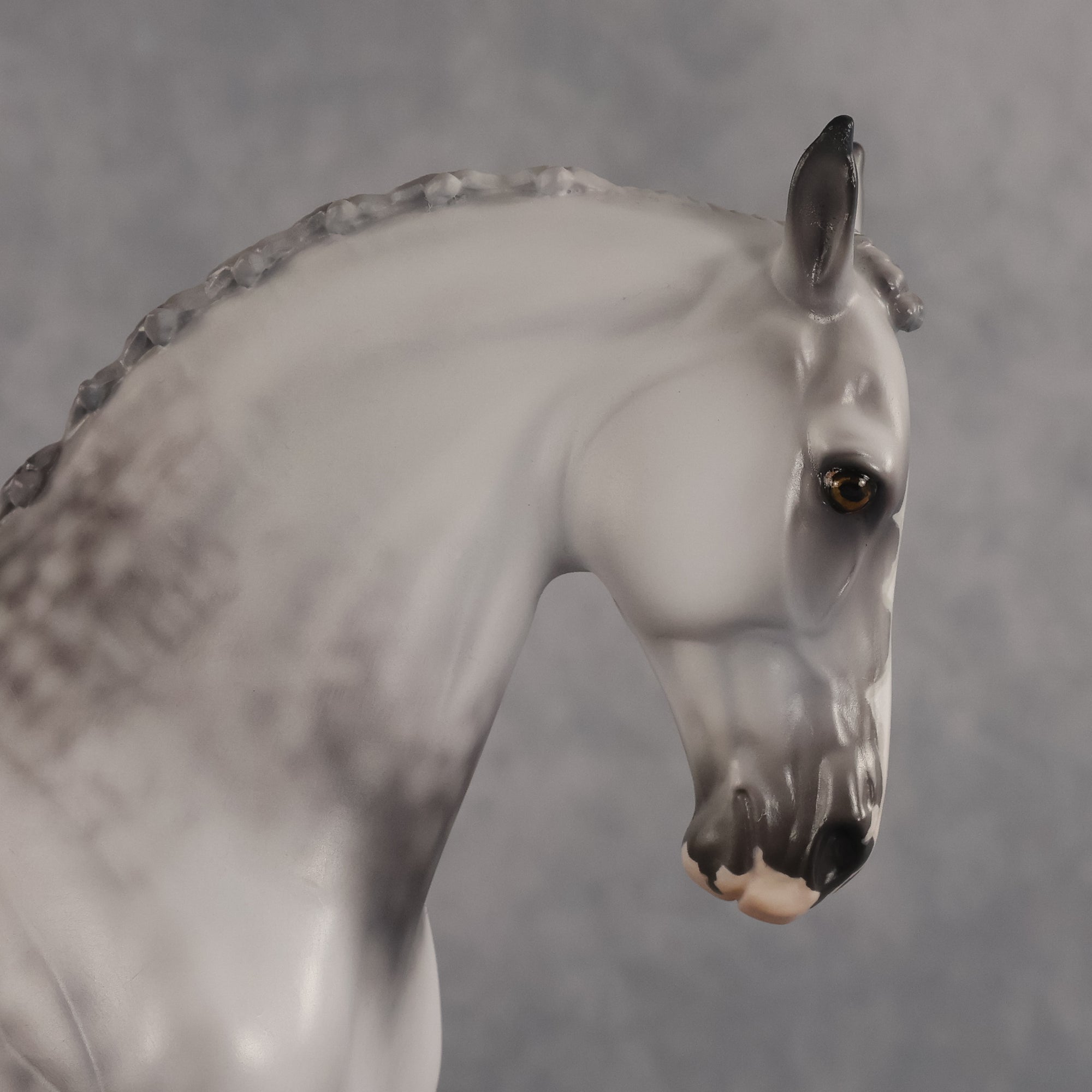 Samson OOAK FCM Andalusian by Jess Hamill Best Offer 7.28.2026