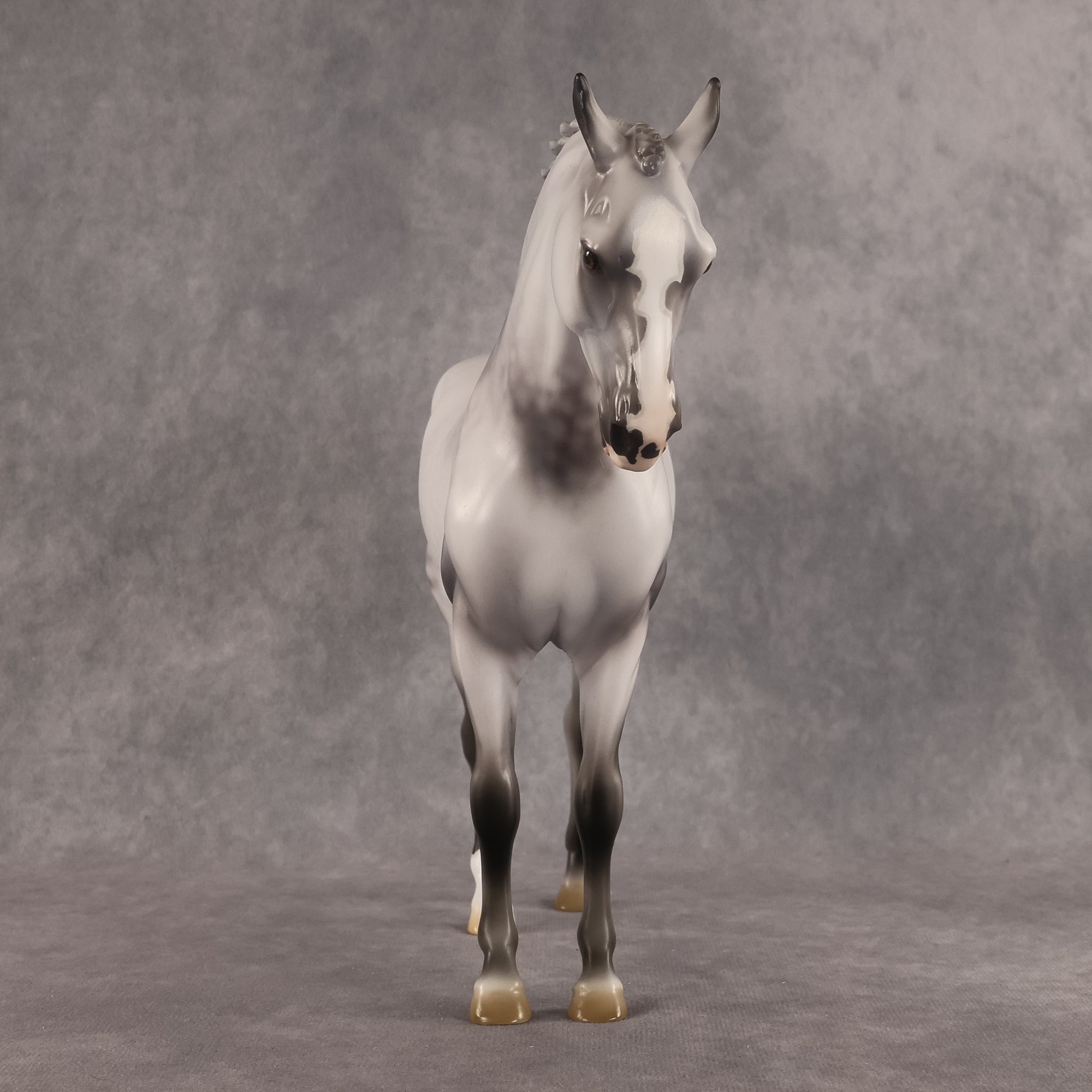 Samson OOAK FCM Andalusian by Jess Hamill Best Offer 7.28.2026