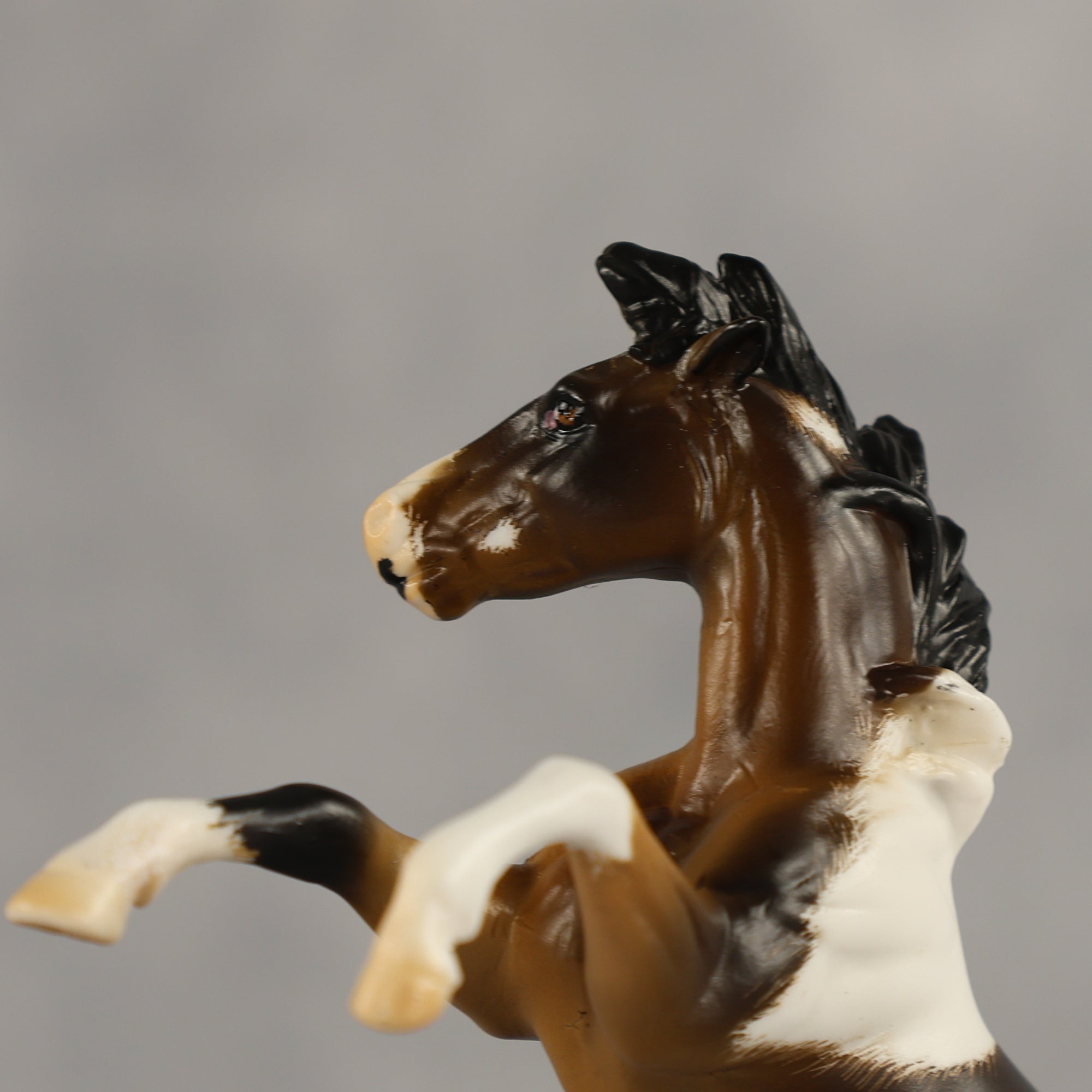 San Francisco Treat OOAK Chip Mustang by Kristian Beverly EQ26