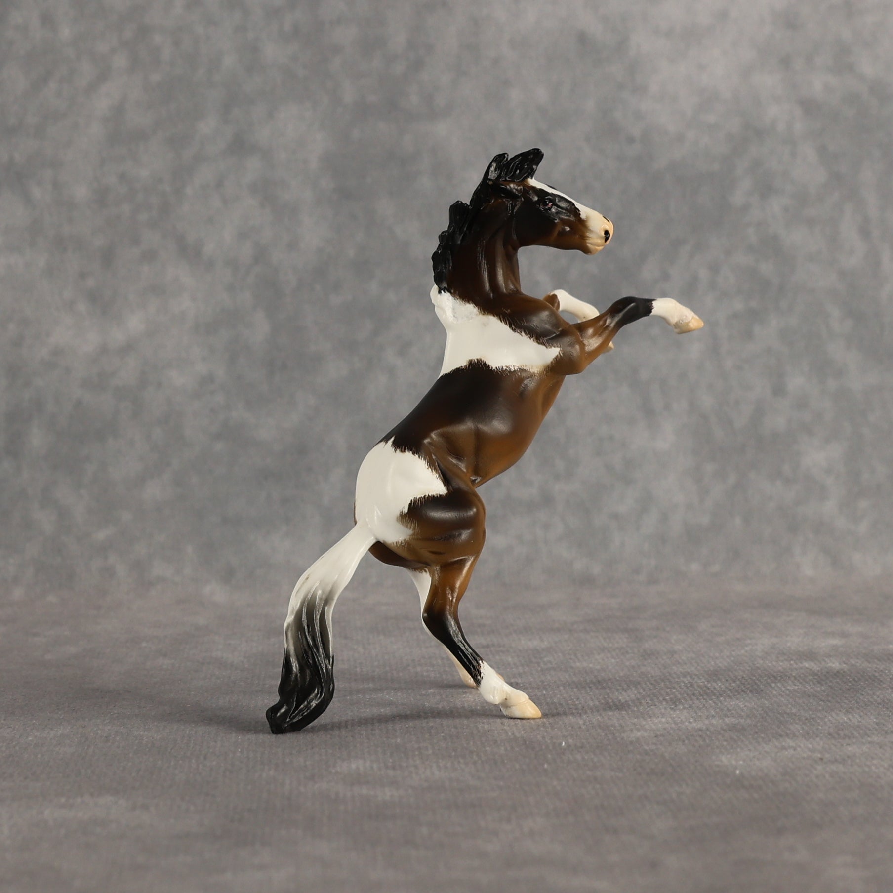 San Francisco Treat OOAK Chip Mustang by Kristian Beverly EQ26