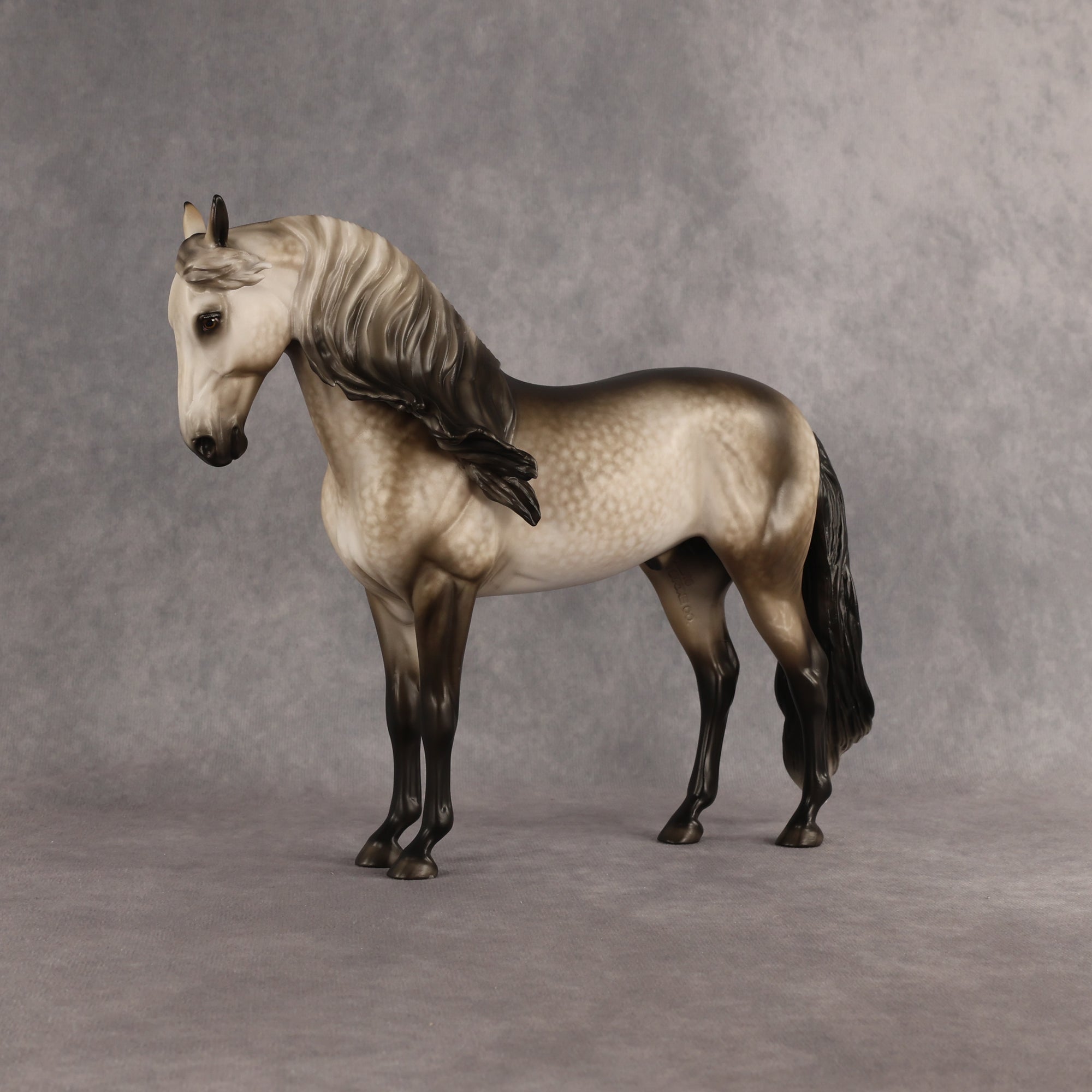 San Gorgonio OOAK FCM Andalusian by Sheryl Leisure Best Offer 6.23.2026