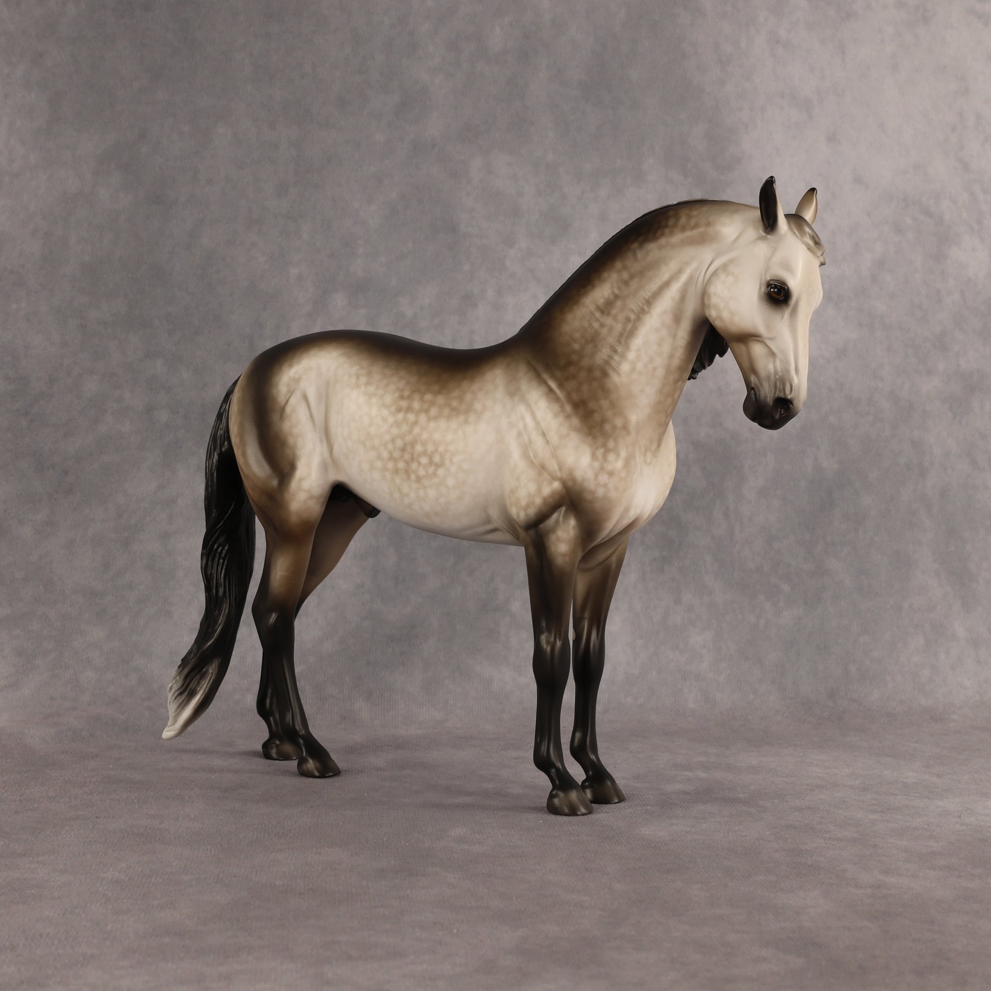 San Gorgonio OOAK FCM Andalusian by Sheryl Leisure Best Offer 6.23.2026
