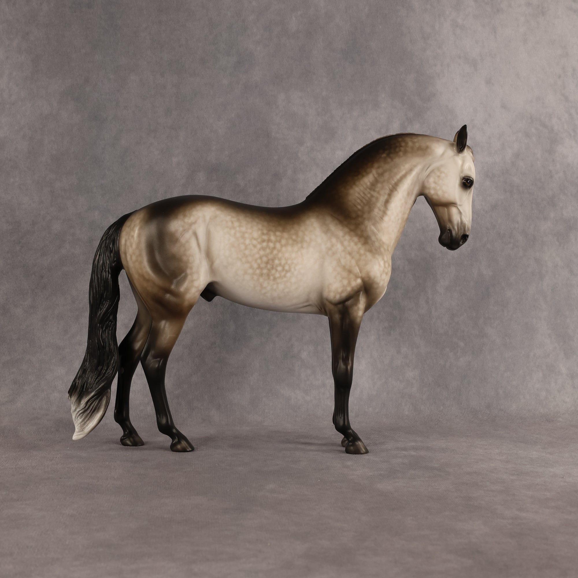 San Gorgonio OOAK FCM Andalusian by Sheryl Leisure Best Offer 6.23.2026