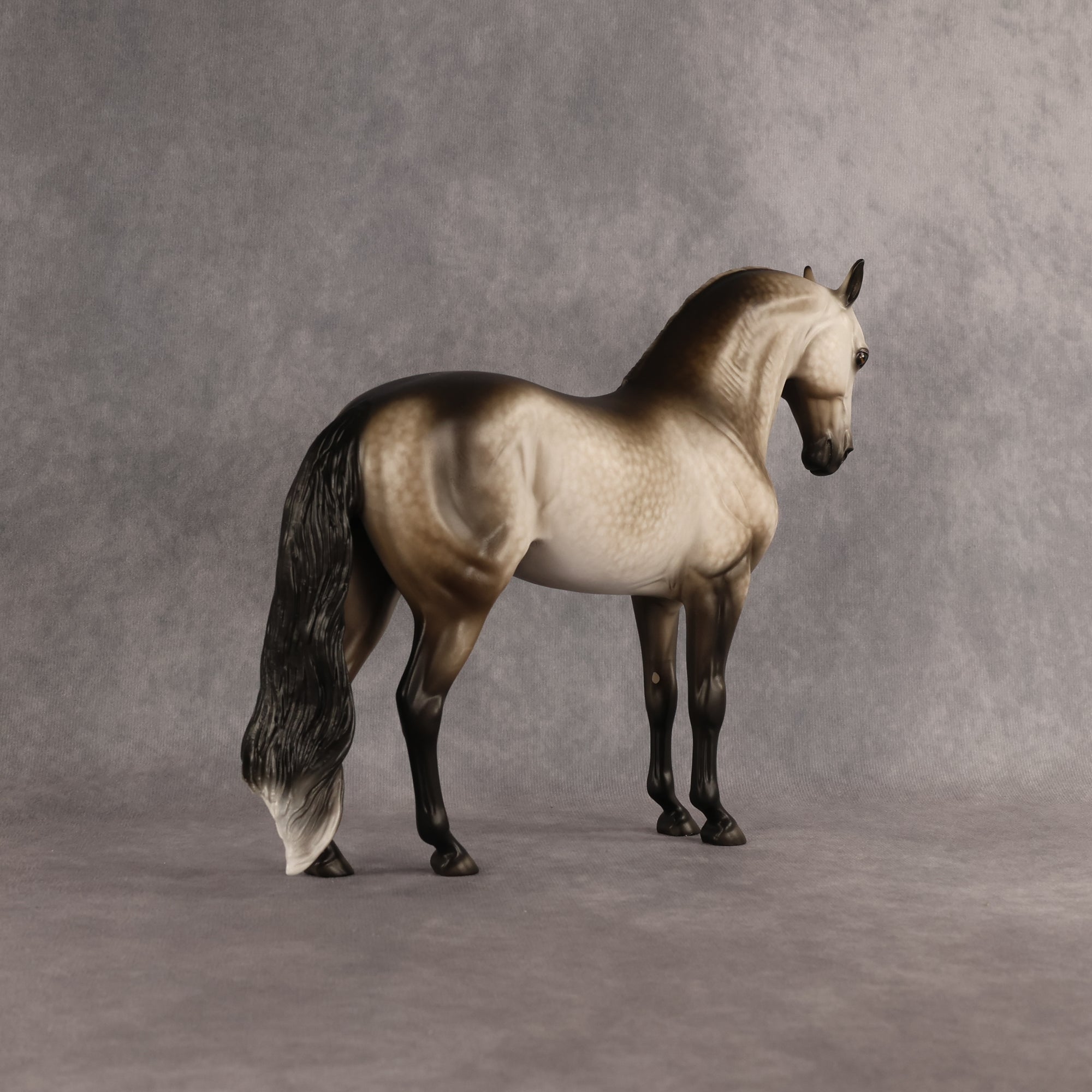 San Gorgonio OOAK FCM Andalusian by Sheryl Leisure Best Offer 6.23.2026