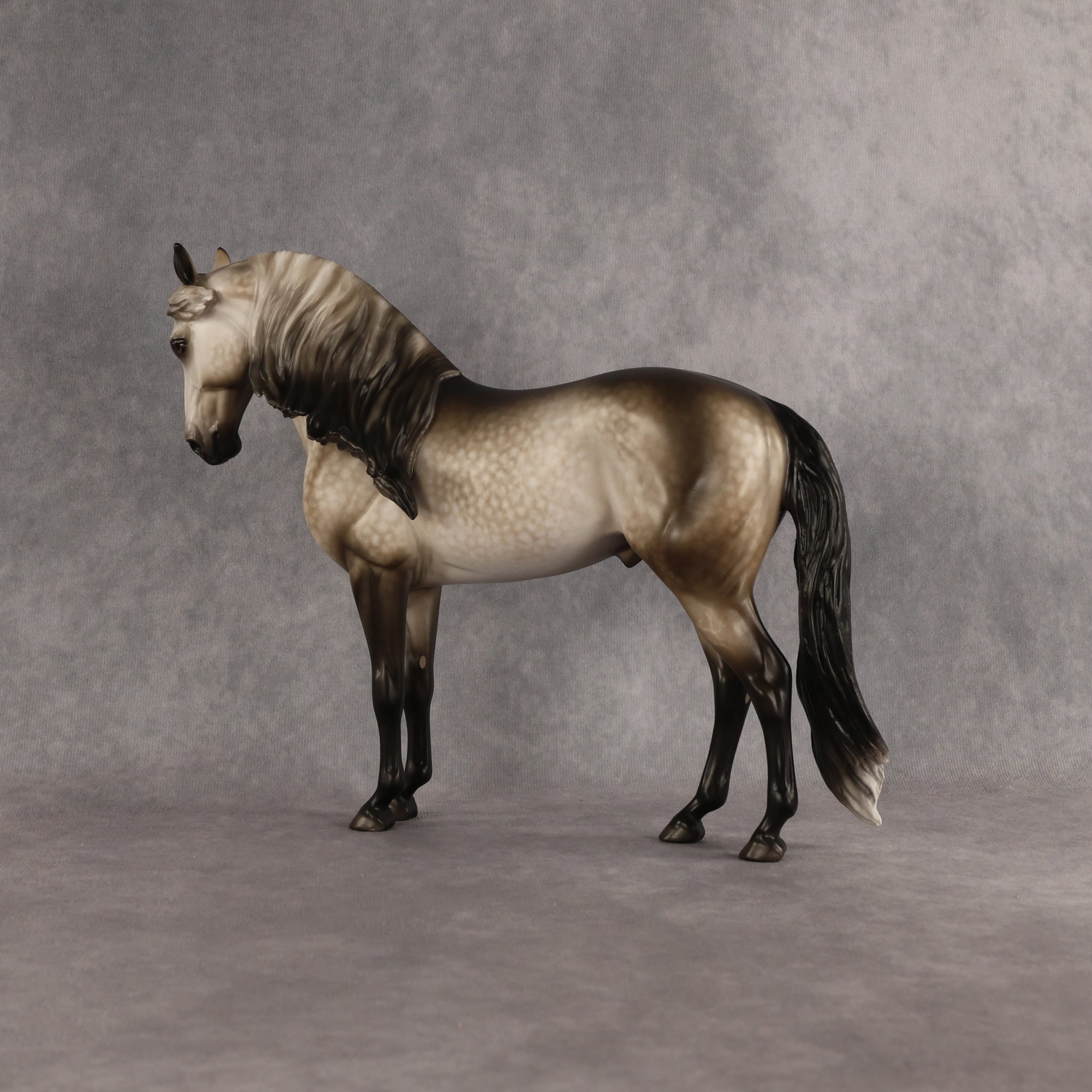 San Gorgonio OOAK FCM Andalusian by Sheryl Leisure Best Offer 6.23.2026