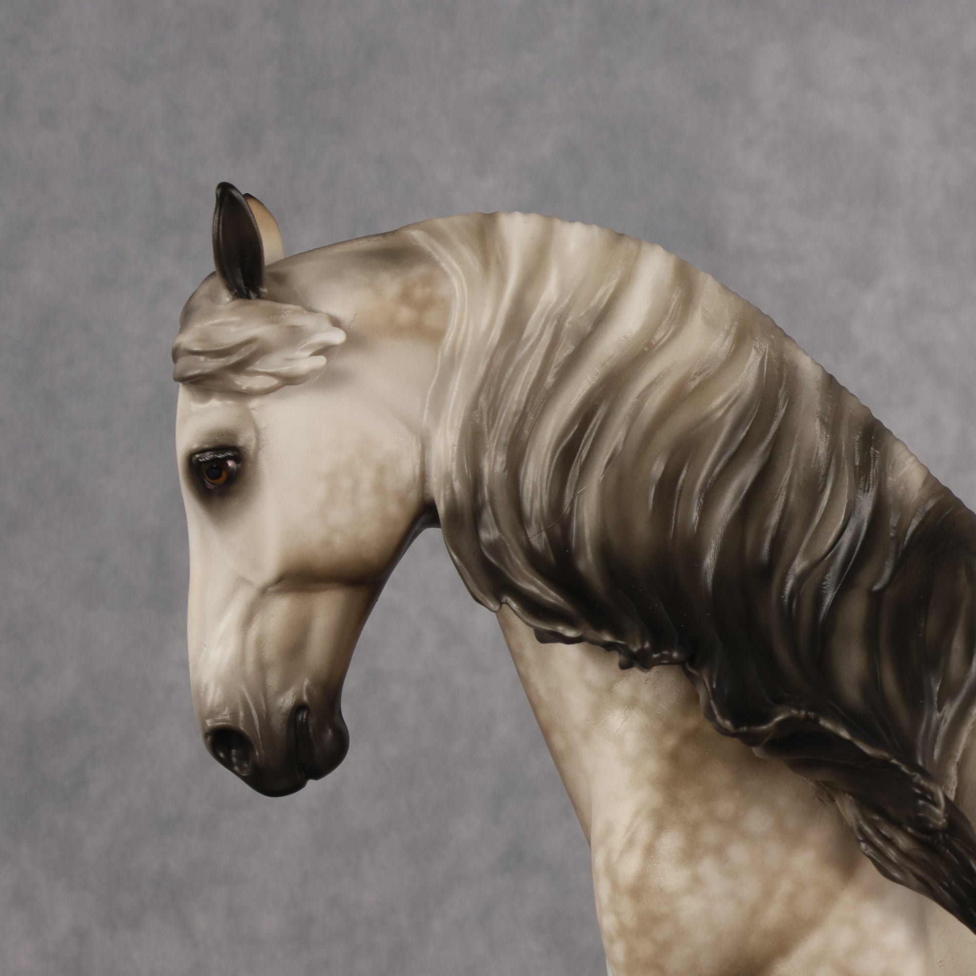 San Gorgonio OOAK FCM Andalusian by Sheryl Leisure Best Offer 6.23.2026