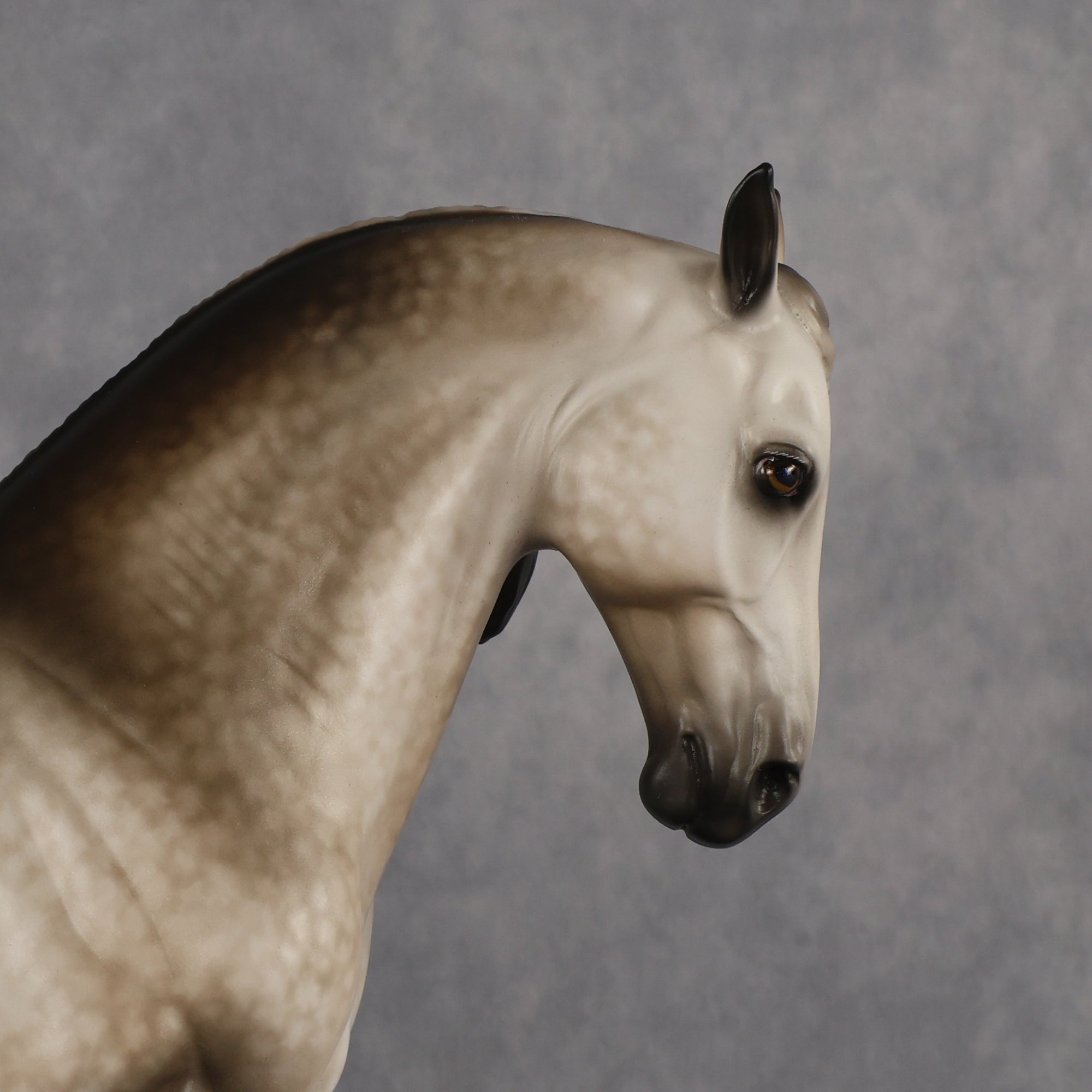 San Gorgonio OOAK FCM Andalusian by Sheryl Leisure Best Offer 6.23.2026