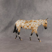 Sandy OOAK Large Mule by Madi Wiseman EQ26