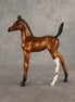 Santiago OOAK Arabian Foal by Alex Fortman EQ26