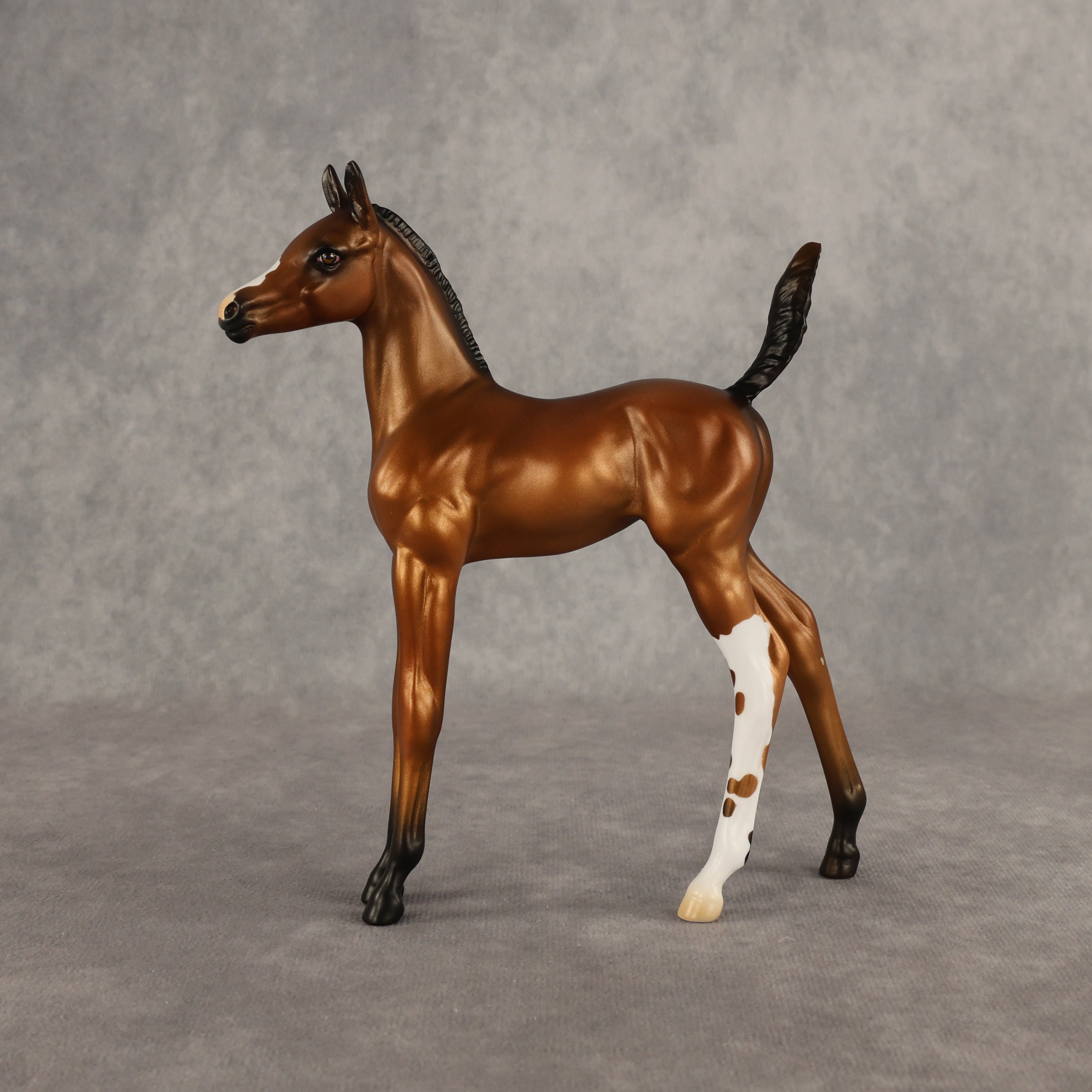 Santiago OOAK Arabian Foal by Alex Fortman EQ26
