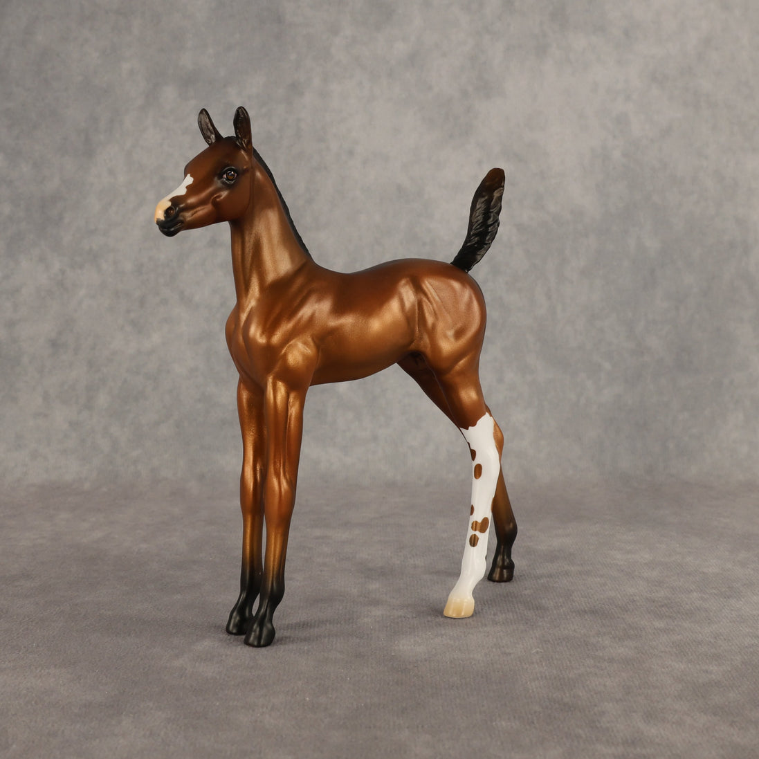 Santiago OOAK Arabian Foal by Alex Fortman EQ26