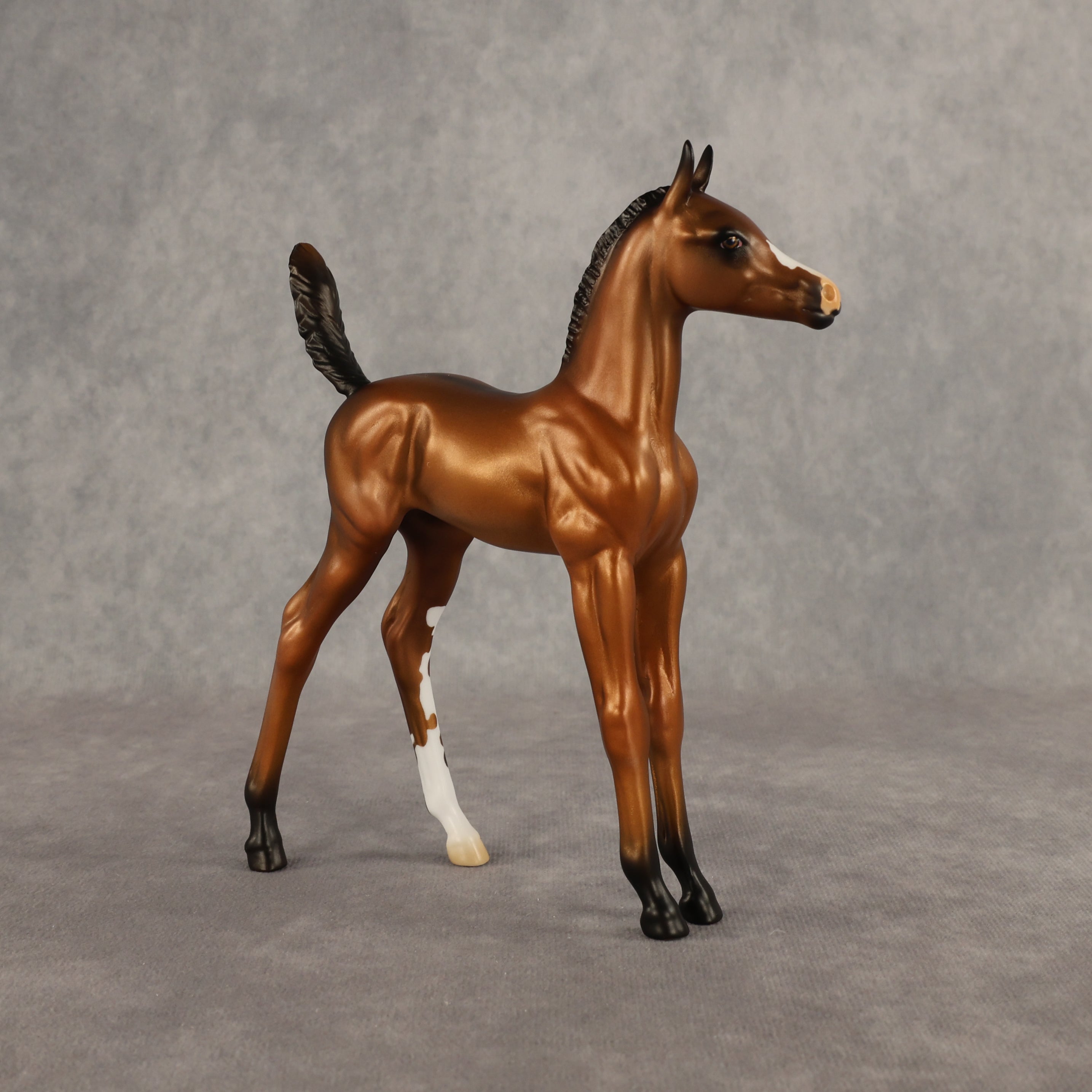 Santiago OOAK Arabian Foal by Alex Fortman EQ26