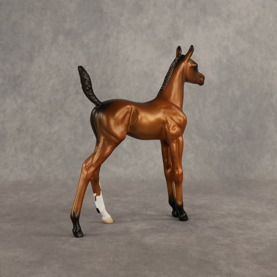 Santiago OOAK Arabian Foal by Alex Fortman EQ26