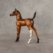 Santiago OOAK Arabian Foal by Alex Fortman EQ26