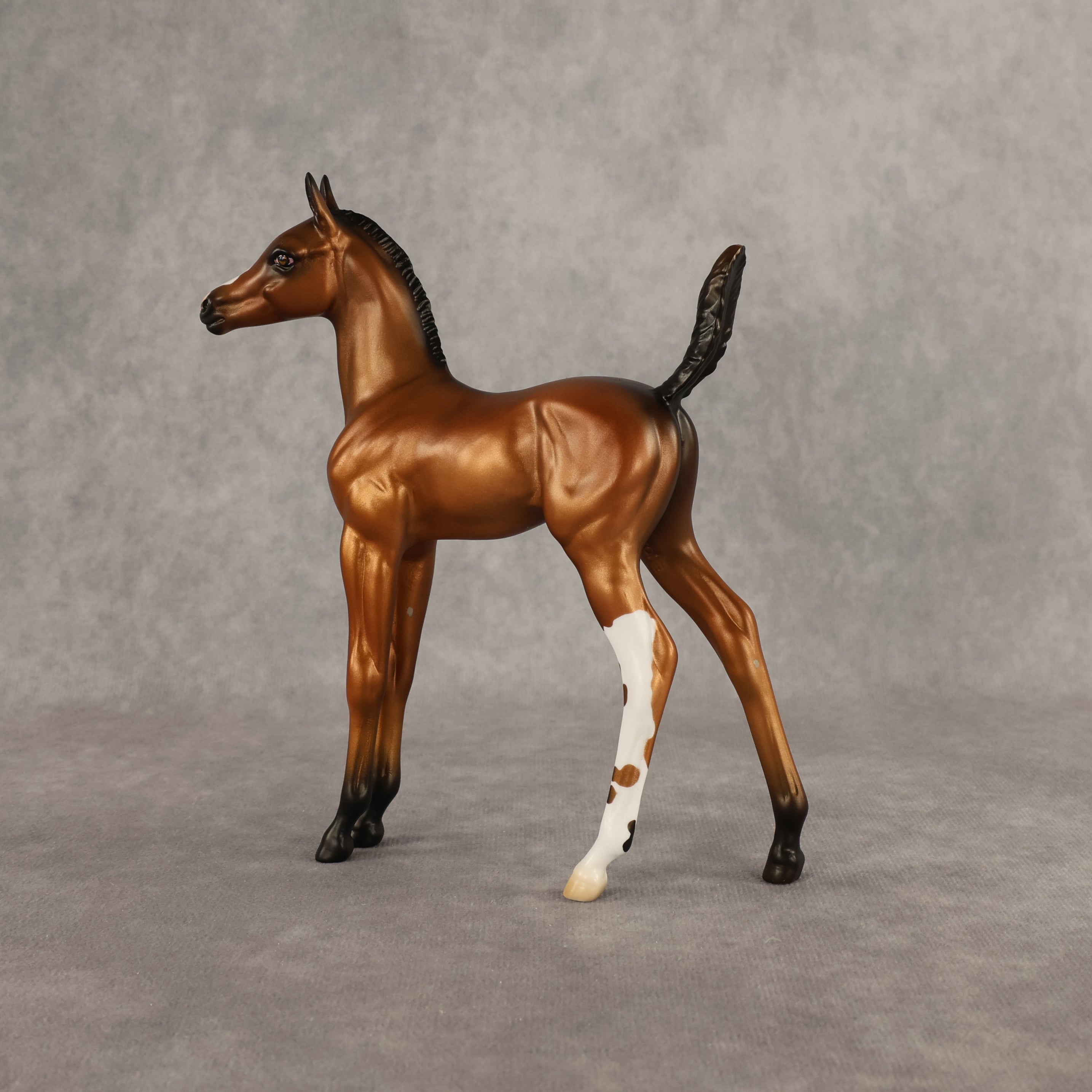 Santiago OOAK Arabian Foal by Alex Fortman EQ26