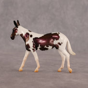 Sardines LE-10 FCM Chip Mule by Melanie Miller TO26