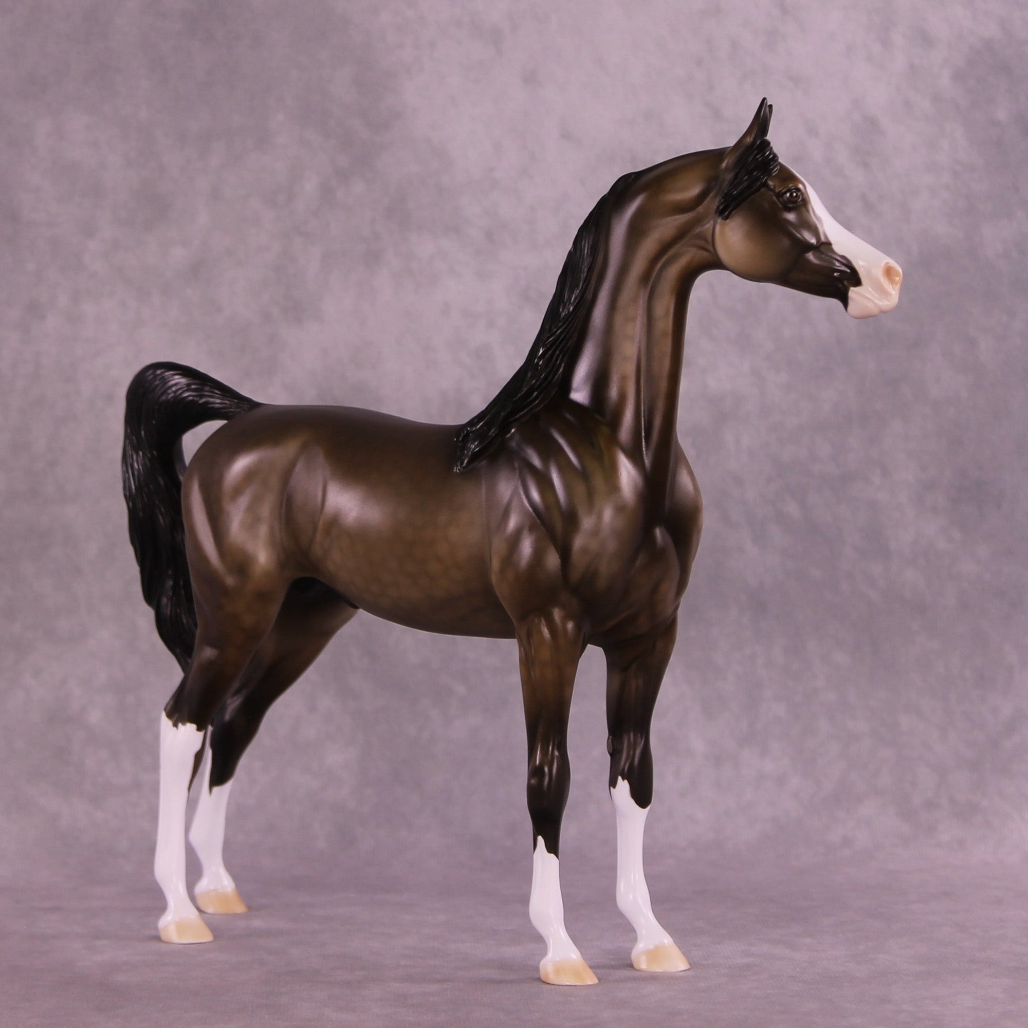 Saskatchewan OOAK Arabian Stallion by Dawn Quick MM25 Group D