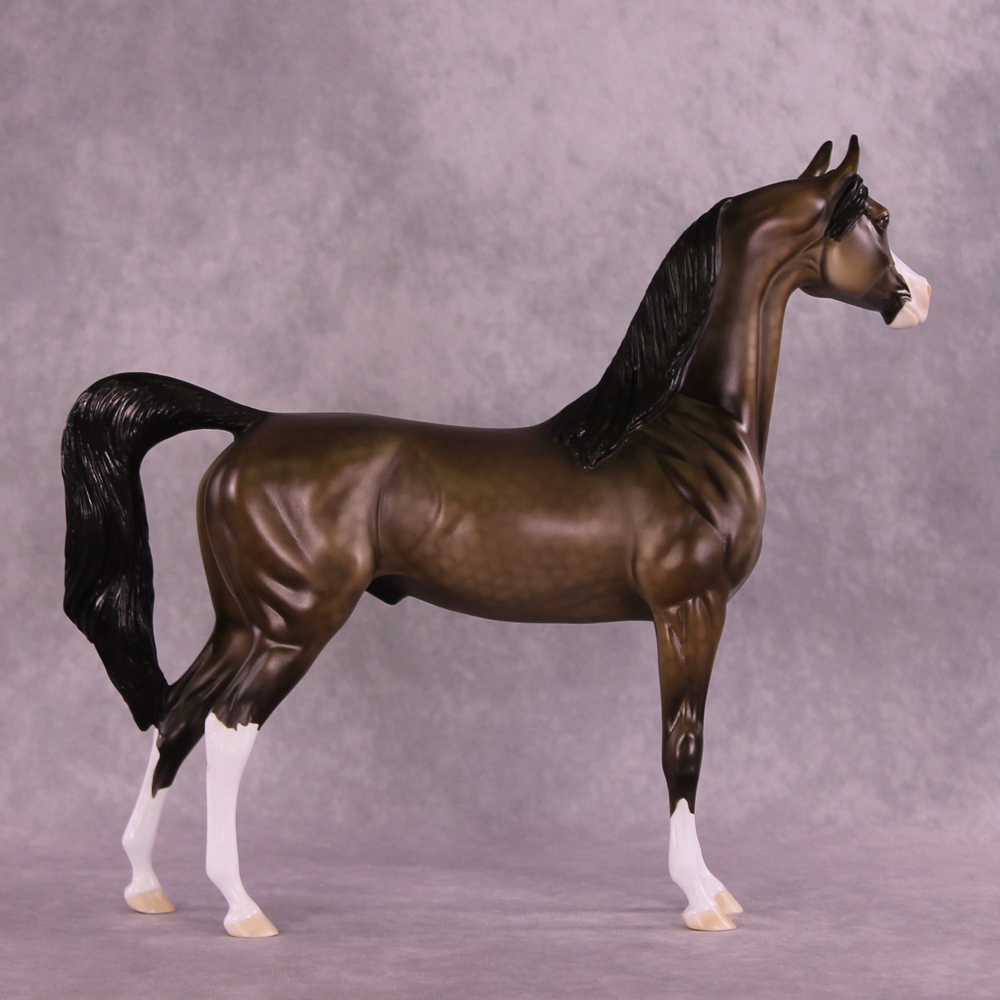Saskatchewan OOAK Arabian Stallion by Dawn Quick MM25 Group D