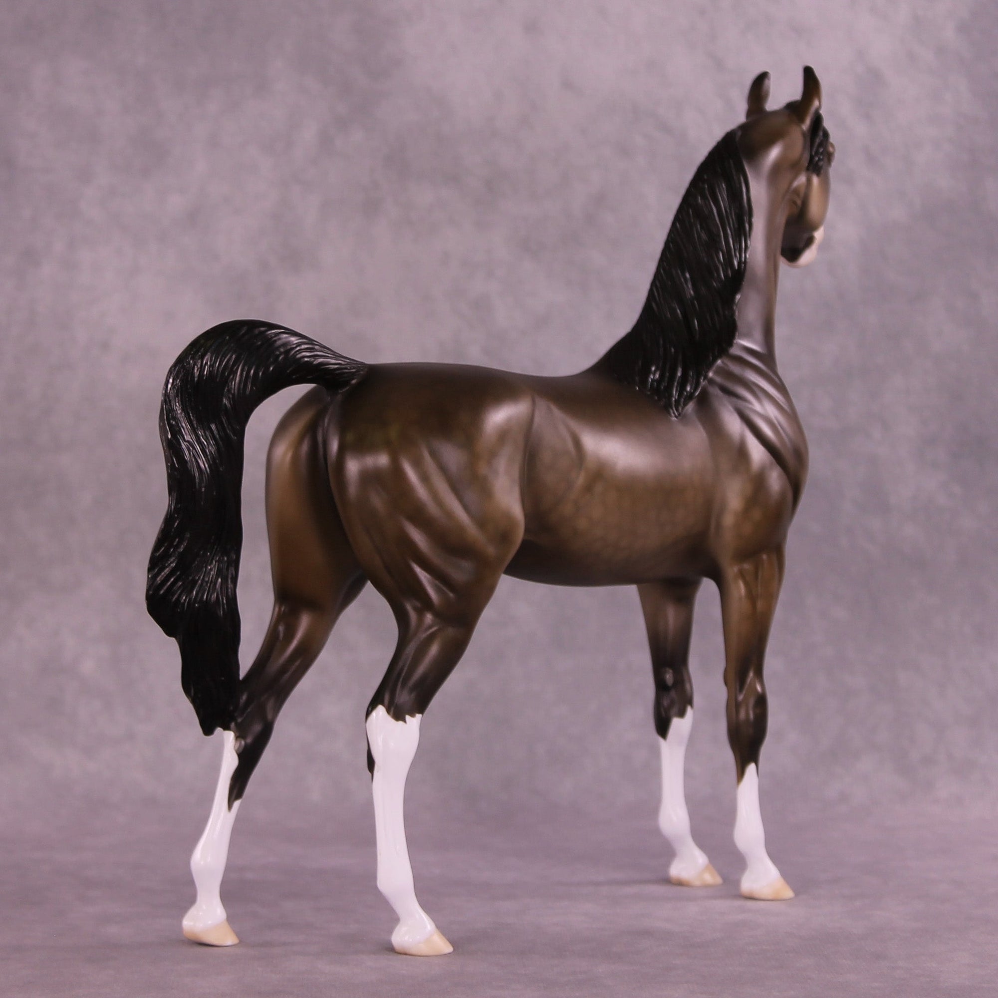 Saskatchewan OOAK Arabian Stallion by Dawn Quick MM25 Group D