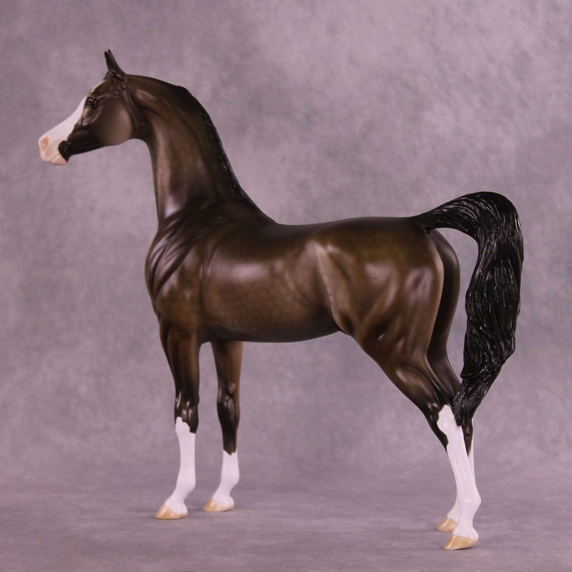 Saskatchewan OOAK Arabian Stallion by Dawn Quick MM25 Group D