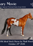 Scary Movie OOAK Ideal Stock Horse by Madi Wiseman DDOOAKs26