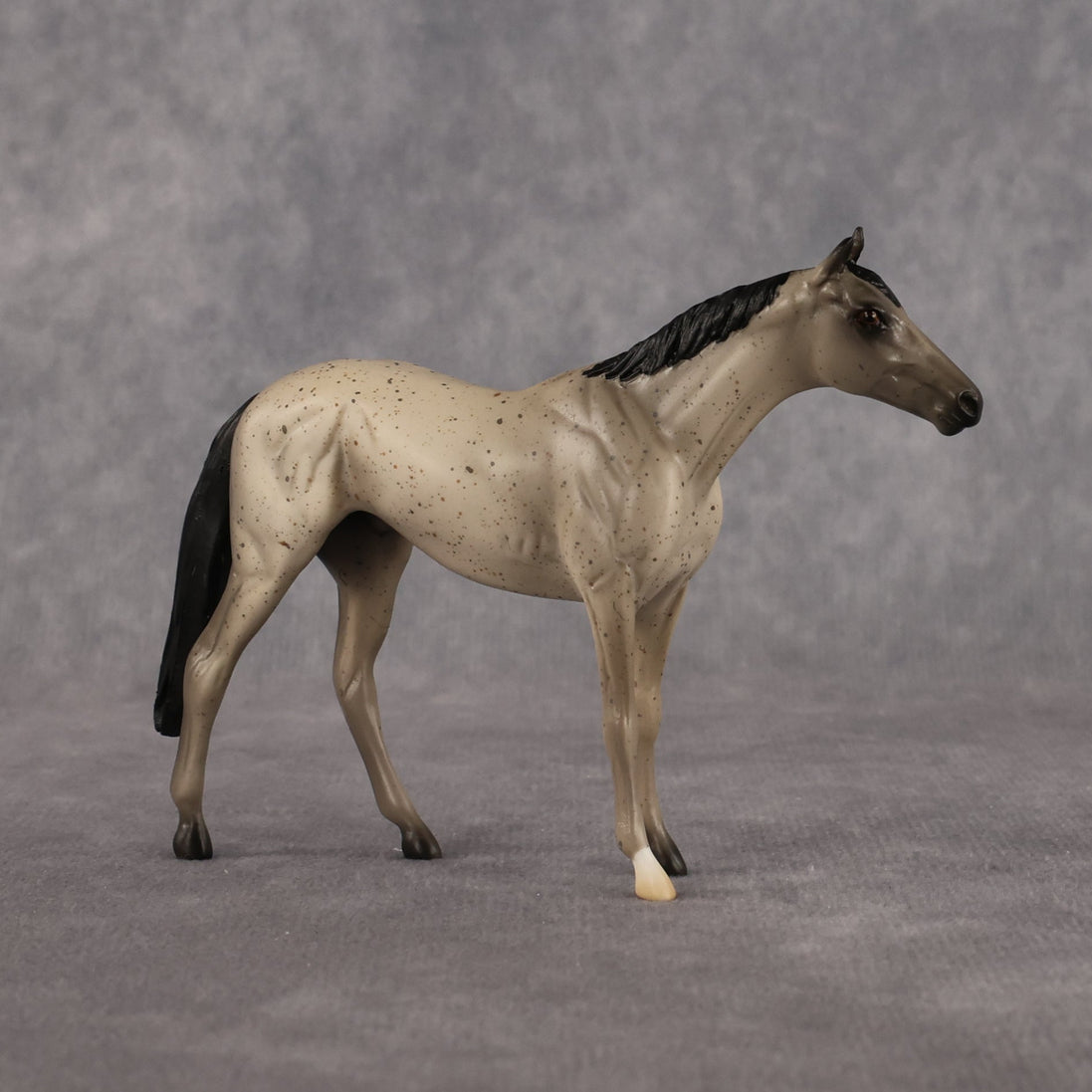 Scatman OOAK Chip Thoroughbred by Alex Fortman LHS26