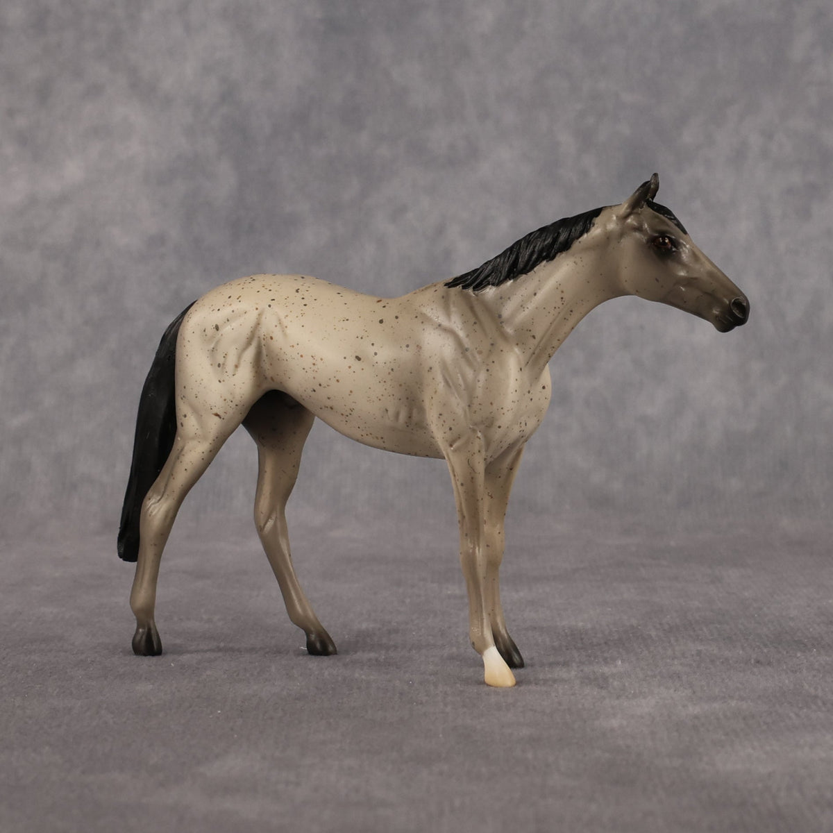 Scatman OOAK Chip Thoroughbred by Alex Fortman LHS26
