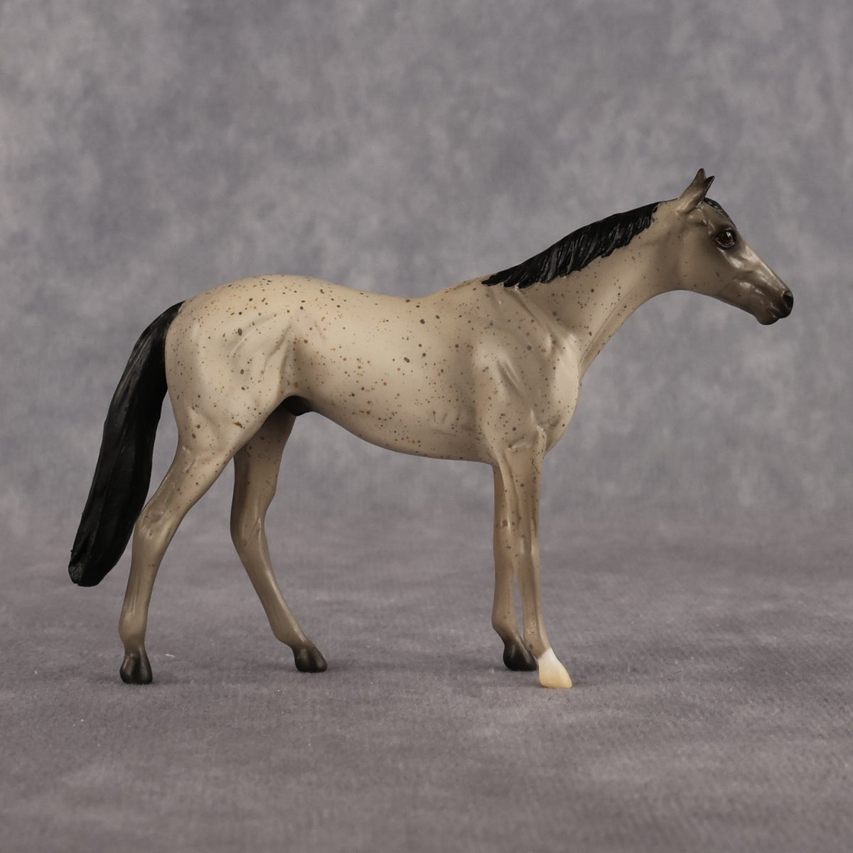 Scatman OOAK Chip Thoroughbred by Alex Fortman LHS26
