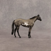 Scatter OOAK Chip Stock Horse by Dawn Quick EQ26