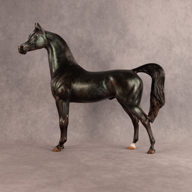 Seafoam OOAK Arabian Stallion by Julie Keim EQ26