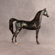 Seafoam OOAK Arabian Stallion by Julie Keim EQ26