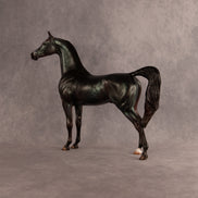 Seafoam OOAK Arabian Stallion by Julie Keim EQ26