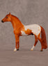 Sean OOAK Chip Andalusian by Madi Wiseman LHS26