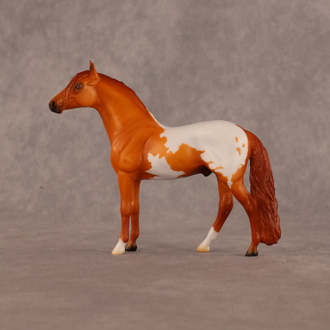 Sean OOAK Chip Andalusian by Madi Wiseman LHS26