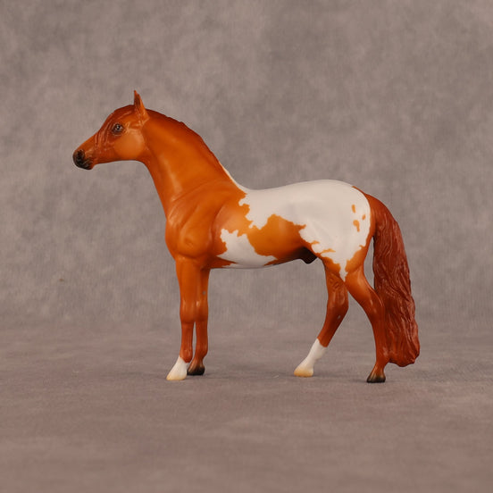 Sean OOAK Chip Andalusian by Madi Wiseman LHS26
