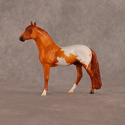 Sean OOAK Chip Andalusian by Madi Wiseman LHS26