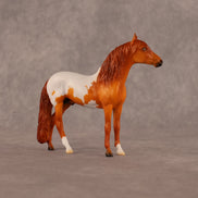 Sean OOAK Chip Andalusian by Madi Wiseman LHS26