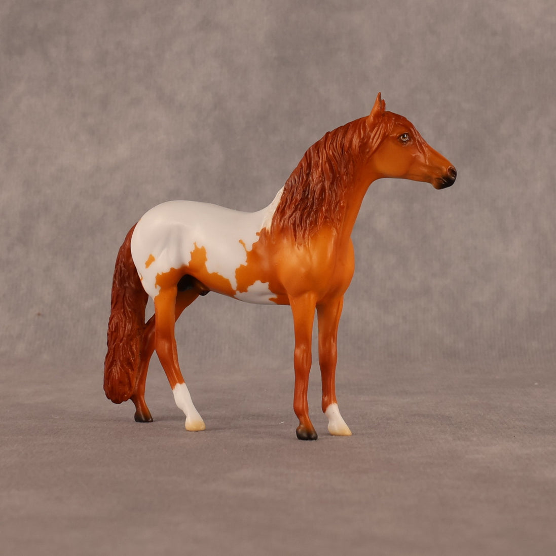 Sean OOAK Chip Andalusian by Madi Wiseman LHS26