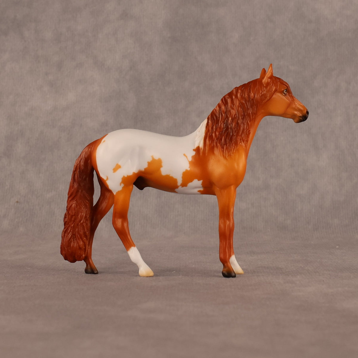 Sean OOAK Chip Andalusian by Madi Wiseman LHS26