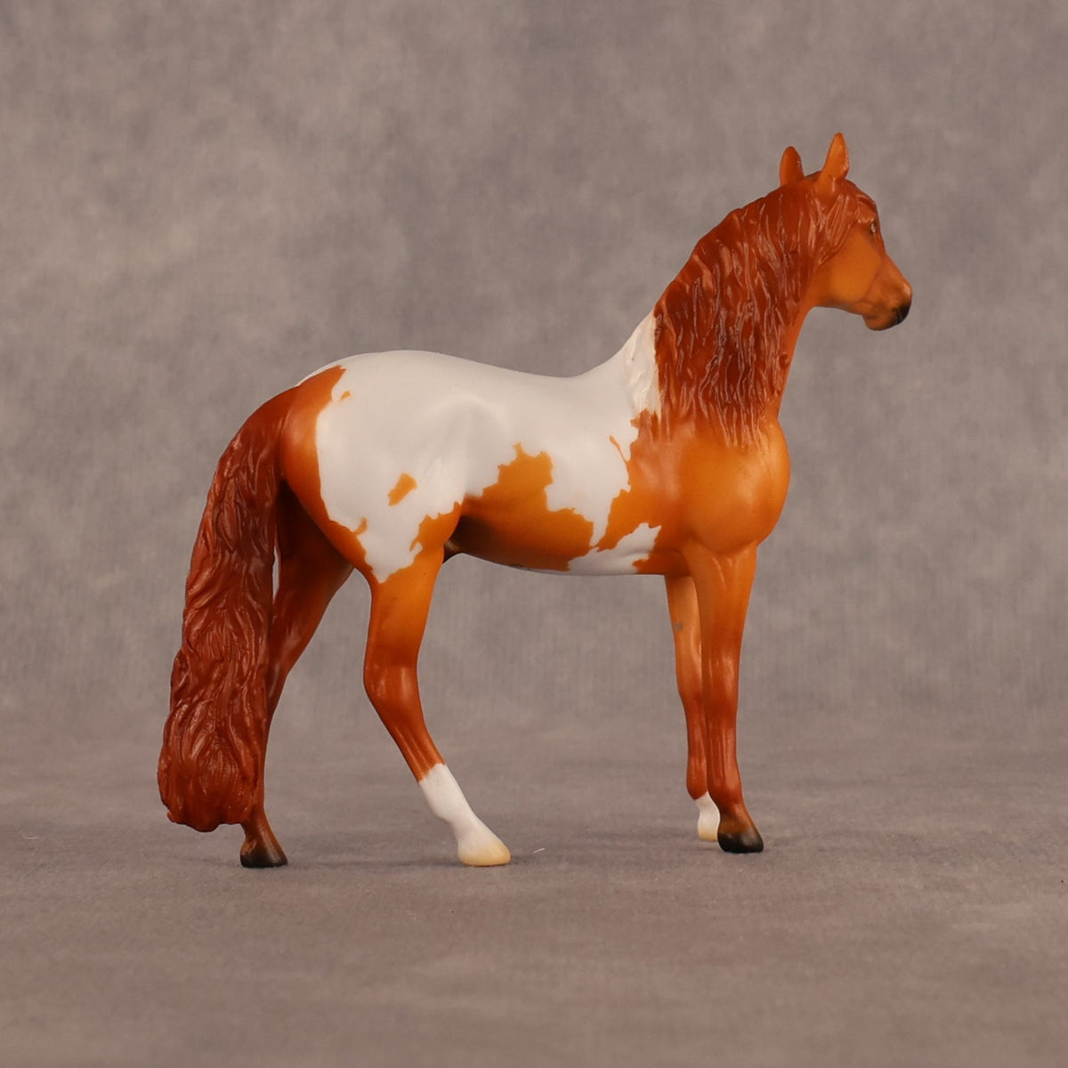 Sean OOAK Chip Andalusian by Madi Wiseman LHS26