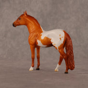 Sean OOAK Chip Andalusian by Madi Wiseman LHS26