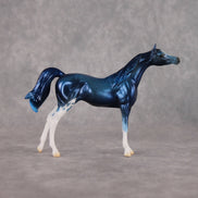Seaside Sepulchre LE-10 FCM Chip Arabian by Ellen Robbins YP26