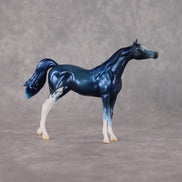Seaside Sepulchre LE-10 FCM Chip Arabian by Ellen Robbins YP26