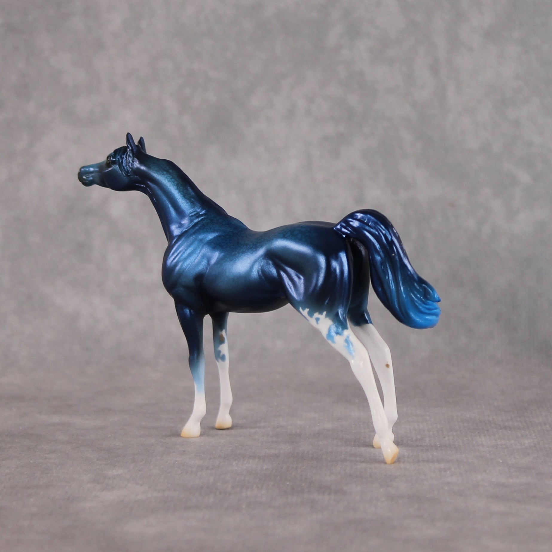 Seaside Sepulchre LE-10 FCM Chip Arabian by Ellen Robbins YP26