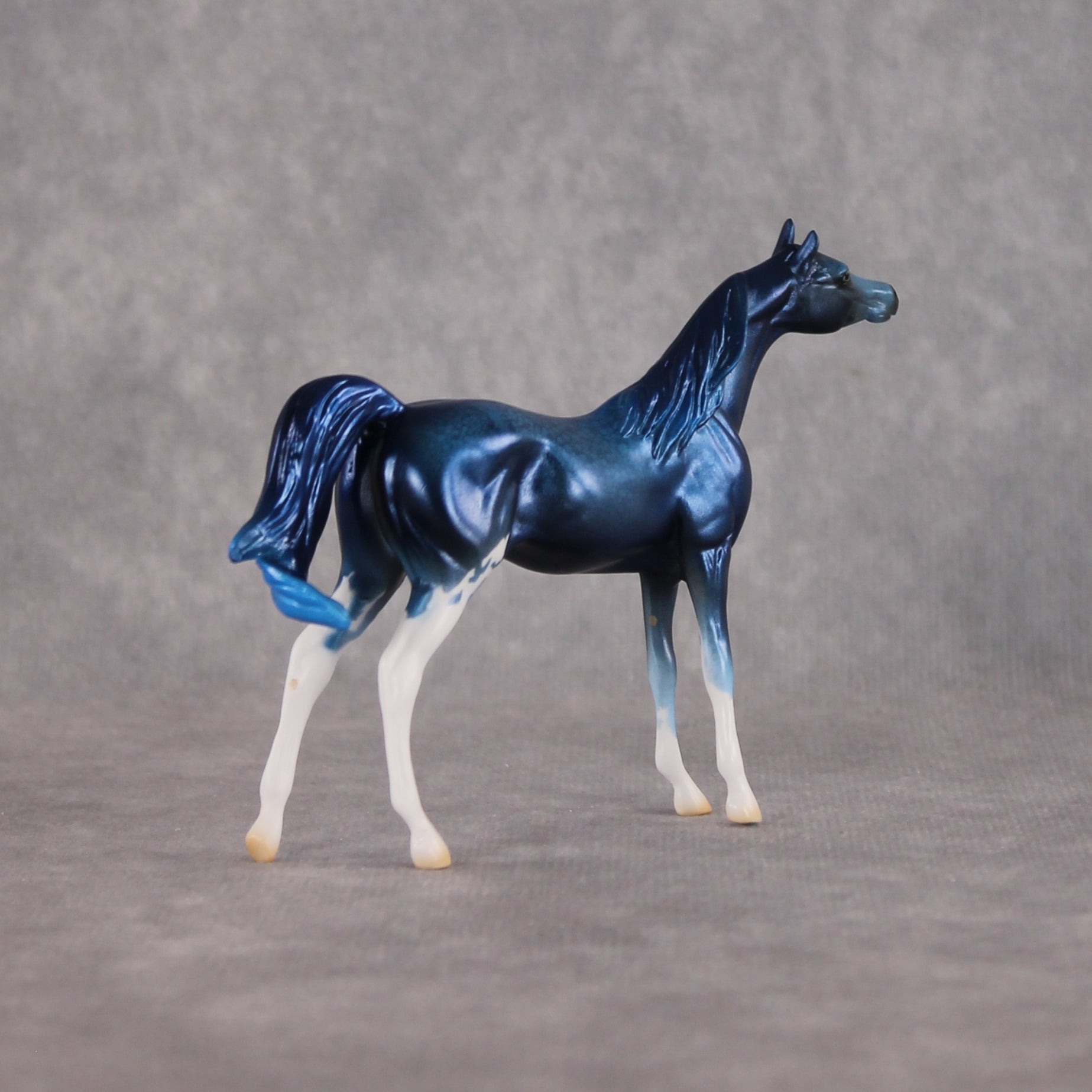 Seaside Sepulchre LE-10 FCM Chip Arabian by Ellen Robbins YP26
