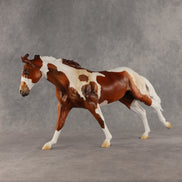 Seeker OOAK FCM Remington by Anna Rieck SHCF26