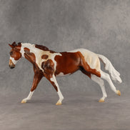 Seeker OOAK FCM Remington by Anna Rieck SHCF26